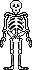 skeleton